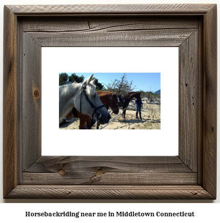 horseback riding near me in Middletown, Connecticut